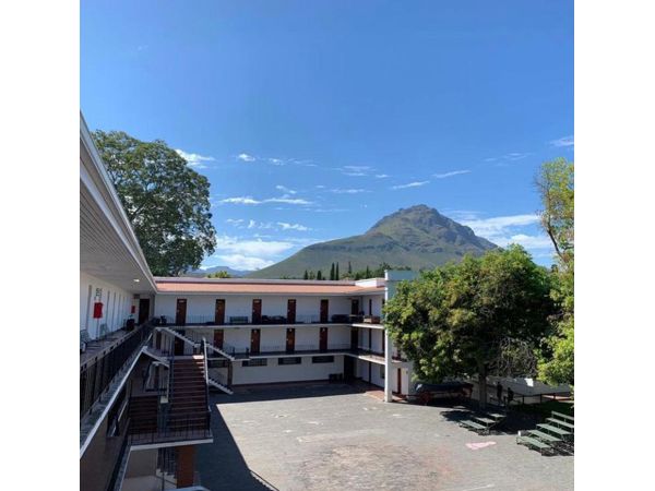 Wilgenhof 120 Jaar Reunie - Hool Veiling